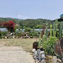 둥지농장 이미지