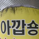 아깝숑 당구장 네이버블로그