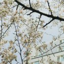 원어민과 초급영어회화 | 애나잉글리쉬 원어민과 미국실생활 영어회화 배우기 체험수업 &amp; 수강 후기