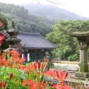 (주)잔디투어 이미지