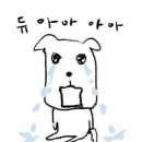 정도기획