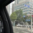2025-05-01 오월의 연휴