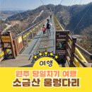 동아에스티(주)원주지점 | 원주 소금산 출렁다리 울렁다리 길이 코스 시간 당일치기 여행