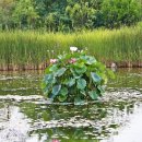 난지천공원 이미지