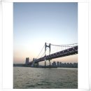 부산요트투어준 이미지