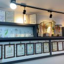 거인태권도 이미지