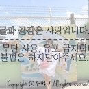 대한청과야채 이미지