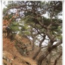 박달산 이미지