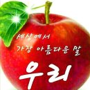 【까치설날】 이미지