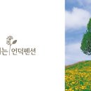 잠꽃펜션