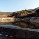 개나리꽃민박 이미지