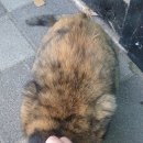 1218마트 이미지