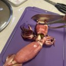 삼복 | 삼복수산 오징어 솔직 후기 | 직접 먹어본 신선도, 배송, 요리까지 상세 리뷰