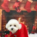 복탄산수 이미지