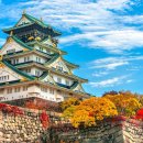 여기어디 오사카 여행, 저렴한 숙소를 찾고 있다면? 이미지