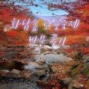 도척면-2 | 화담숲 단풍시기축제 절정 예약 방문후기