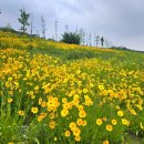 여울터 | <좋은 시 창작 10계명 ④> 고급 위장술 ‘상징’, 상징으로 내 시의 수준을 높이자! / 권갑하 시인