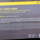 아카30기 12차 정기산행 및 송년회[금정산(쇠미산)/서면] 이모저모 이미지