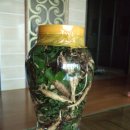 약산초등학교 이미지