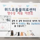 24시 위드유 동물의료센터 이미지