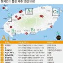 화순리마을회관 | 🌊 제주도 현지인도 모르는 숨은 맛집 코스 7곳 (줄 서지 않는 진짜 맛집!)