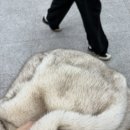 용산-후암-258 | 오프때 모했니