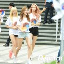 스텔라 이미지