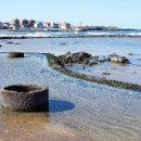 제주테우문화 이미지