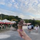 대낭굴 | 춘천 놀거리 춘천 가볼만한곳 김유정 레일바이크 현장 구매 후기