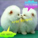 미소 이미지