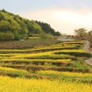 바다마을사람들 이미지