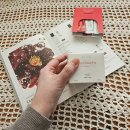 산다화 | 산다화 카멜리아 루미나 글로우 크림 후기(제품 제공)