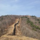 가산2리 | 가산산성 복수초(福壽草) 탐방