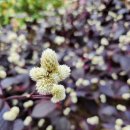 선기농장 이미지