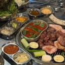 한마음 애견용품 이미지