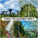 [싱가포르] 가든스바이더베이: 실내정원 &lt;플라워돔, 클라우드포레스트&gt; 방문후기 (시간,티켓)