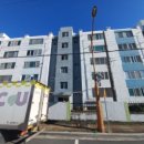 상대동-1 이미지