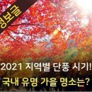 2021년 지역별 단풍시기 ! 이미지