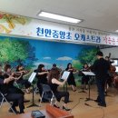 천안중앙초등학교 천안일보