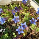 용담하우스 이미지