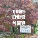 다화림 | 전남 다화림 식물원 치유정원 체험 후기
