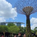 더베이 | 싱가포르 가든스 바이 더 베이 후기(클라우드포레스트+플라워돔+가든랩소디)#4