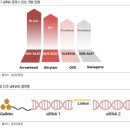 다우케미컬 R&D센터 2 | [주간 리포트 스터디] 4월 1주차 (26.03.30 - 26.04.03)