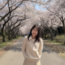 공일네일 | 한해의 절반을 지나며,,,,