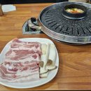 대교미트