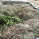 연구농장 이미지