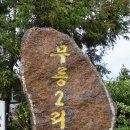 제주올레투어(11)