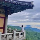 드림몽돌하우스 | 남해숙소 - 초이 게스트하우스 : 나홀로 여행객들이 조용히 머물다 가기 좋은곳