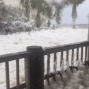 플로리다 바닷가에 함박눈이?… 거리 뒤덮은 하얀 거품 정체 이미지