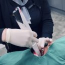 네비게이션임플란트강남엔터치과의원은 다양한 최신 치과치료를 받아 볼수 있는 곳이라서 편하게 방문해...